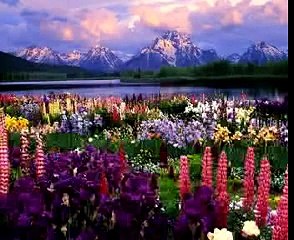 Khyal Muhammad Yao de da lalonona qurban sham