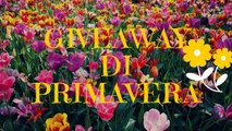 GIVEAWAY DI PRIMAVERA A SORPRESA [APERTO]