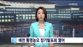 [안동MBC뉴스]예천 '통명농요' 25회 정기발표회(11시)