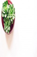 먹튀검증사이트 온라인바카라사이트 SuperCAR123.COM 가입코드6623 스보벳에이전시