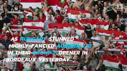 Euro 2016: Austria slumped to a 2-0 defeat against Hungary