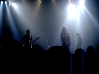 The Elderberries - Like a bull