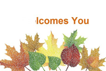 Discover Unique Antique & Custom Persian Rugs with Sharafi & Co. 🧳