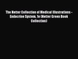 Read The Netter Collection of Medical Illustrations - Endocrine System 1e (Netter Green Book