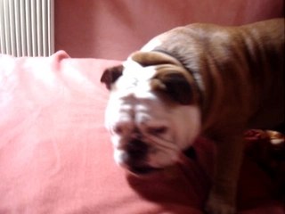 le lit trop haut ou ma téki tro grosse !!!