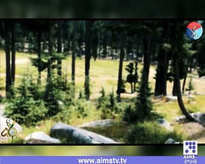 قائم امن کی کوشش اور ارمی چیف کا کردار