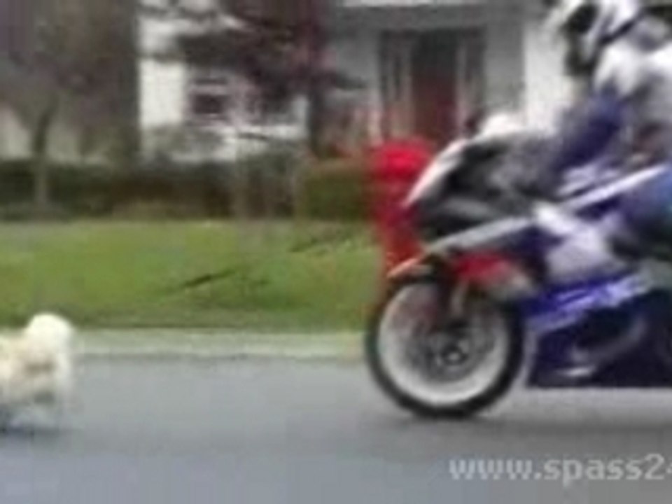 Pub_Suzuki_Gsxr1000_Humour