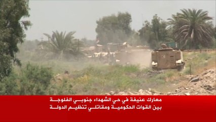 القوات العراقية تتقدم في حي الشهداء بمدينة الفلوجة