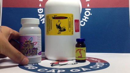 Kết hợp AminoPlex  và Cobra XT, Công thức phục hồi gà chiến nhanh chóng