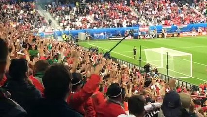 Les supporteurs hongrois fêtent le premier but