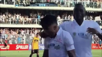 Gabriel Barbosa 'Gabigol' ●Santos FC ●Skills and Goals ●2016