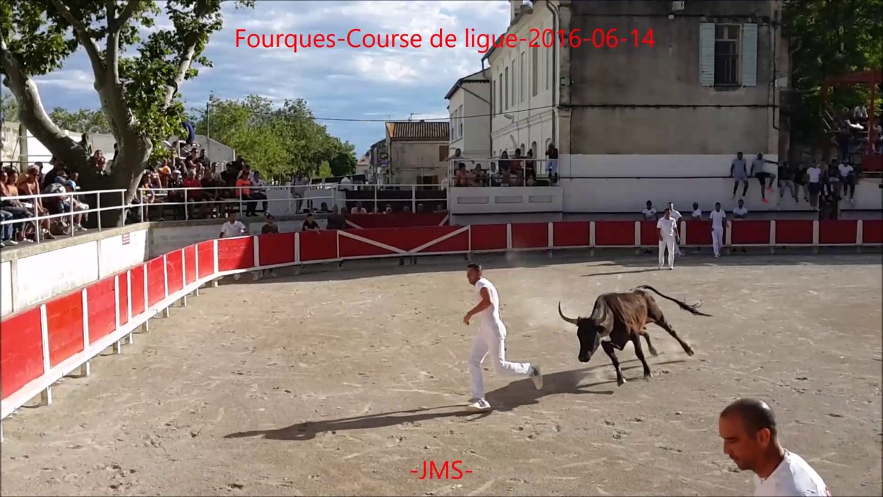 FOURQUES-Course camarguaise-Taureau-N°1017-Manade-LAGARDE-2016-06-14