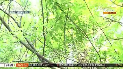 나는 자연인이다.E196.160615