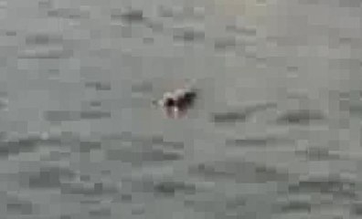 Haliç'te erkek cesedi bulundu