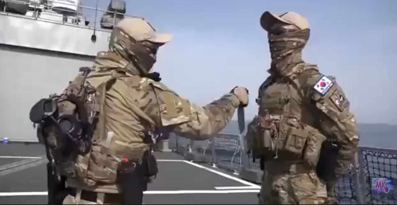 South Korean Navy UDT SEALs Hand to Hand Knife Combat Skills video Dailymotion