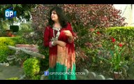 Pashto New Song HD 2016 Lar Sha Pekhawar Ta By Kashmala Gul