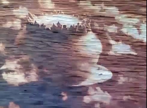 2.Dünya Savaşı Belgeseli - National Geographic