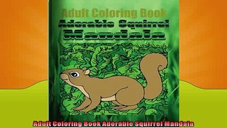 Free PDF Downlaod  Adult Coloring Book Adorable Squirrel Mandala  DOWNLOAD ONLINE