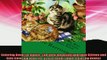 READ book  Coloring Book For Adults The Most Beautiful Adorable Kittens and Cats Coloring Book For  BOOK ONLINE