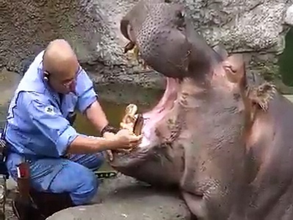 very nice video
