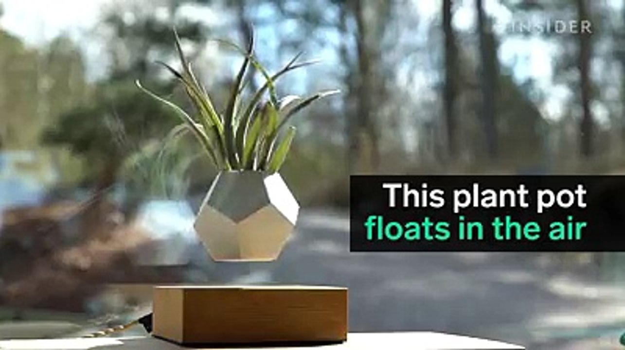 Plant Pot That Floats In The Air