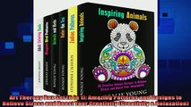 EBOOK ONLINE  Art Therapy Box Set 6 in 1 Amazing Patterns and Designs to Relieve Stress and Boost  DOWNLOAD ONLINE