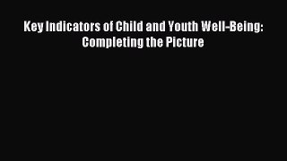 Read Key Indicators of Child and Youth Well-Being: Completing the Picture Ebook Online