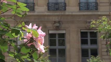 Descargar video: Ségolène Royal, Présidente de la COP21, a présidé le forum de haut niveau de la coalition pour le prix du carbone