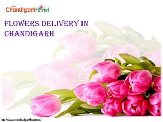 Flowers Delivery in Chandigarh