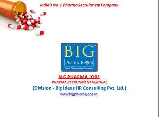 Domestic Big Pharma Jobs