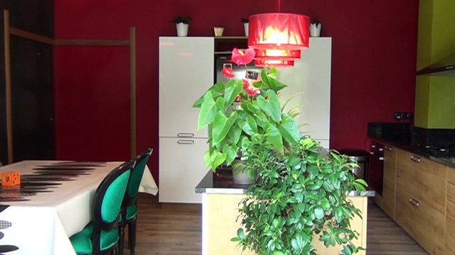 Chenove Maison 4 chambres - Agence CARREZ Immobilier