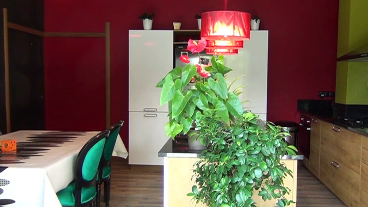 Chenove Maison 4 chambres - Agence CARREZ Immobilier