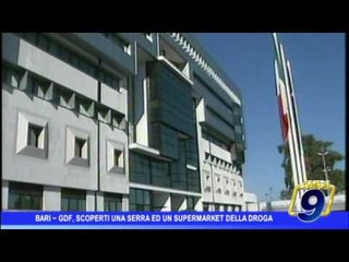 Bari |  Gdf, scoperta una serra e market della droga