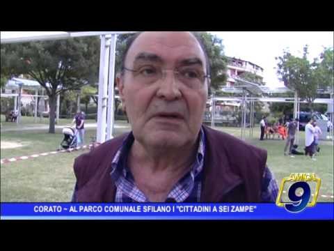 Corato | Nella villa comunale sfilano I cittadini a sei zampe