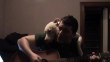Cette vidéo va vous montrer la nature véritable d’un Pitbull !