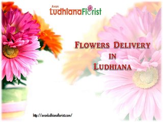 Flowers Delivery in Ludhiana
