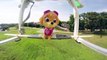 PAW PATROL Nickelodeon Skye Flies in the Air and Saves Paw Patrol a Paw Patrol Video Parody