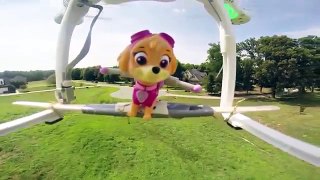 PAW PATROL Nickelodeon Skye Flies in the Air and Saves Paw Patrol a Paw Patrol Video Parody