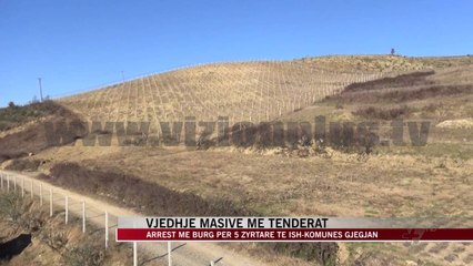 Vjedhje masive me tenderat, arresohen 5 zyrtarë - News, Lajme - Vizion Plus