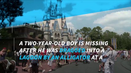 Alligator drags toddler into water near Orlando Disney resort