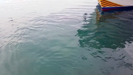 This Enormous Tuna Opens His Mouth, But What Comes Out Left Me In Disbelief…