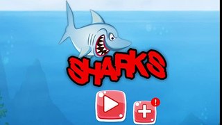 Shark Games: Hungry Dash HD - Google Play and iOS