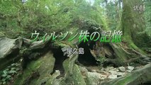 [youku] シリーズ世界遺産100 （NHK BS プレミアム -1） - 2014年08月08日（金） [480p]