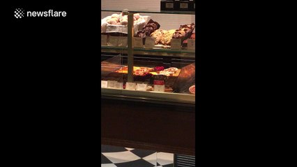 'Rats' filmed running over food in French bakery