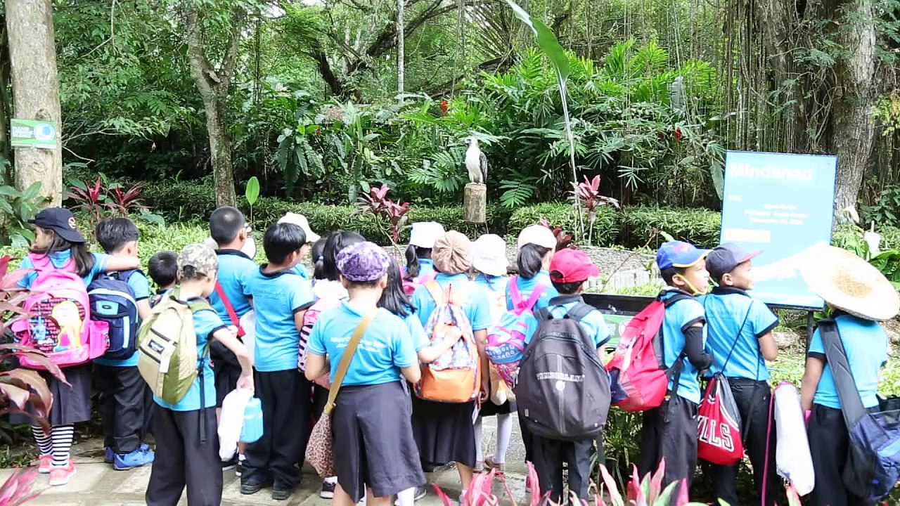 Un sanctuaire pour l'aigle des Philippines, rapace géant menacé