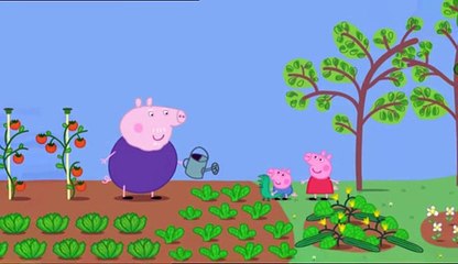 Peppa Pig Series 1 Episode 37  Lunch