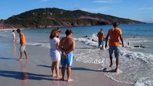 Il filmait le bord de mer quand il a vu quelque chose s’agiter près de la rive…