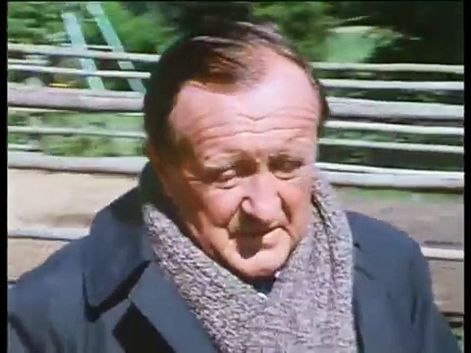 Der Alte  E10 - Erka?ltung im Sommer