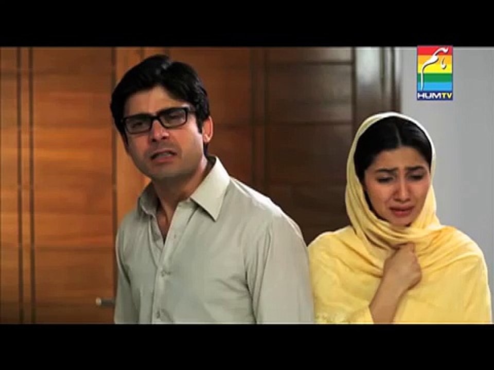 HumSafar Last Episode