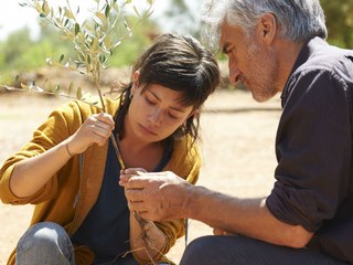 El Olivo: Trailer HD VO st bil